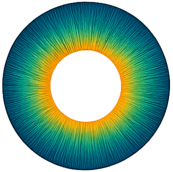 Logo JUSTINA